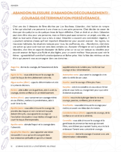 unn exemple de problématique dans le dictionnaire de lithothérapie holistique